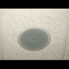 Speaker 2